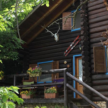 B&B Le Corone - Chalet Nel Bosco Cavalo Екстериор снимка