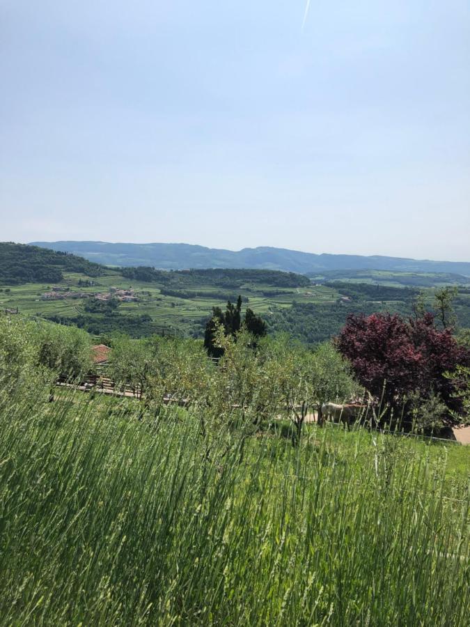 B&B Le Corone - Chalet Nel Bosco Cavalo Екстериор снимка