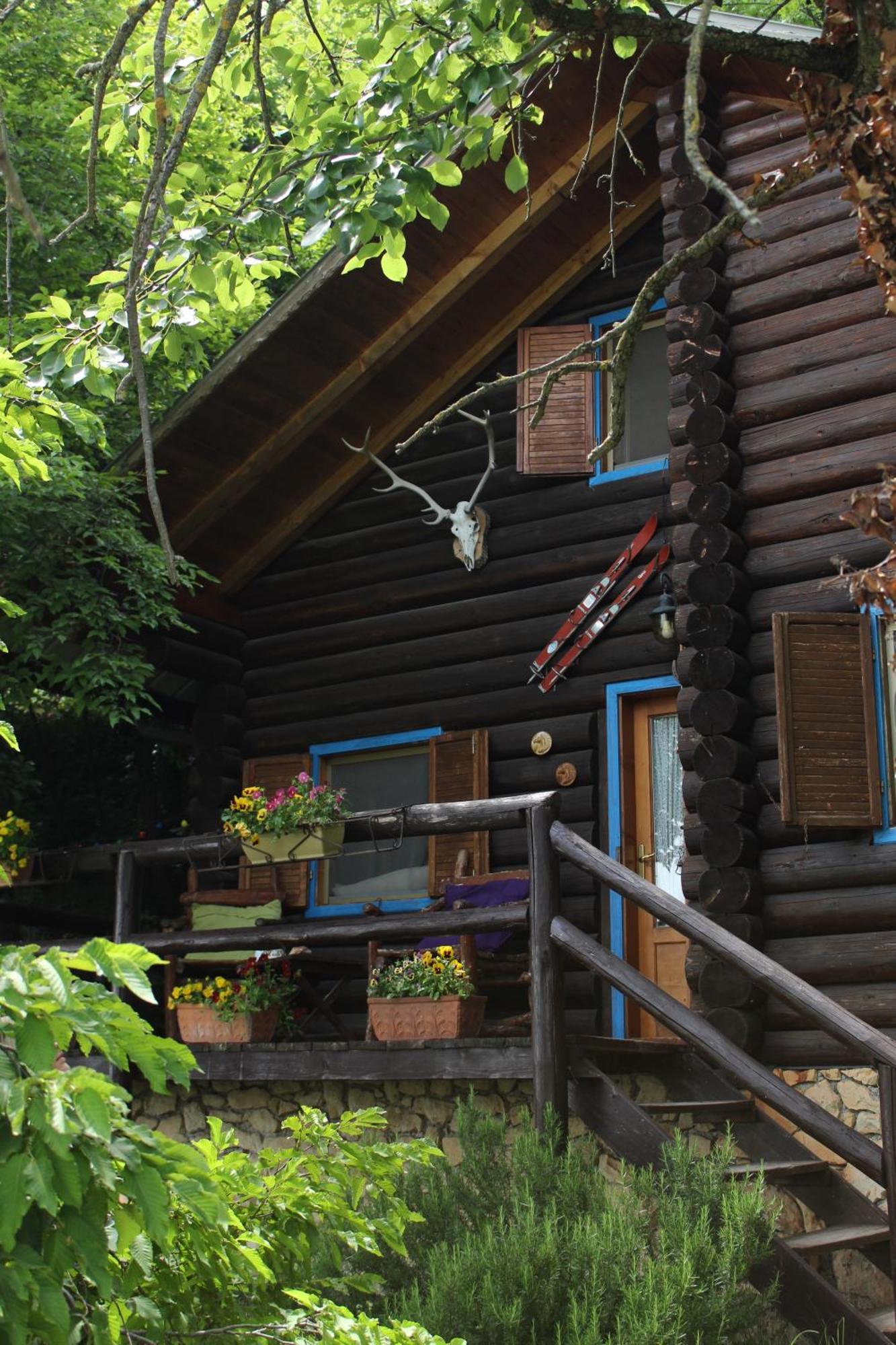 B&B Le Corone - Chalet Nel Bosco Cavalo Екстериор снимка