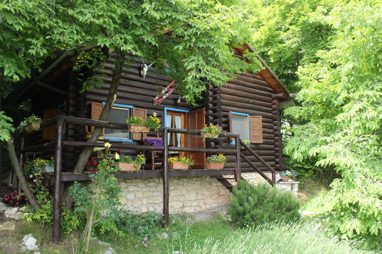 B&B Le Corone - Chalet Nel Bosco Cavalo Екстериор снимка
