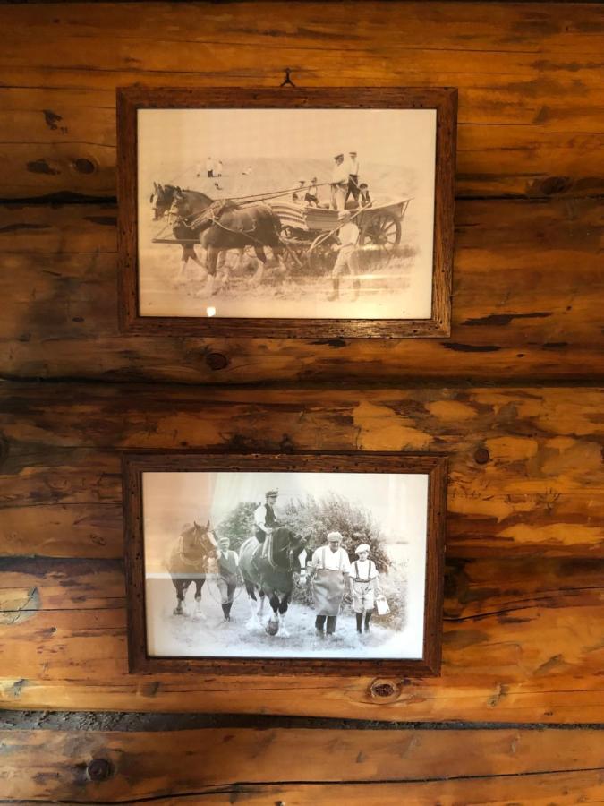 B&B Le Corone - Chalet Nel Bosco Cavalo Екстериор снимка