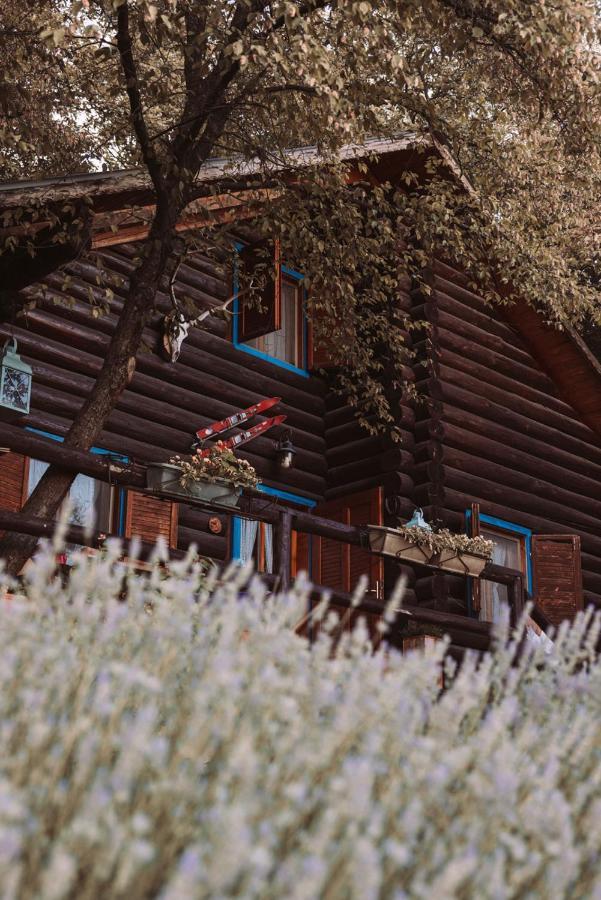 B&B Le Corone - Chalet Nel Bosco Cavalo Екстериор снимка